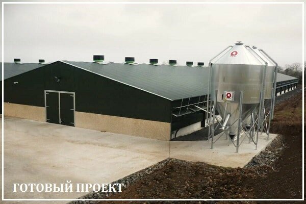 Этапы возведения птицефабрики от завода ВелесТент-клы